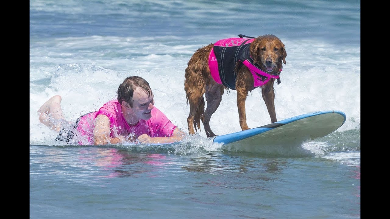 Surfing Dog & Quadriplegic Boy Make History With First-Ever Canine Assisted Tandem Ride