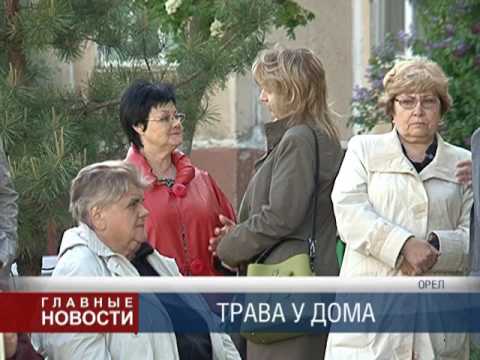 Трава у дома