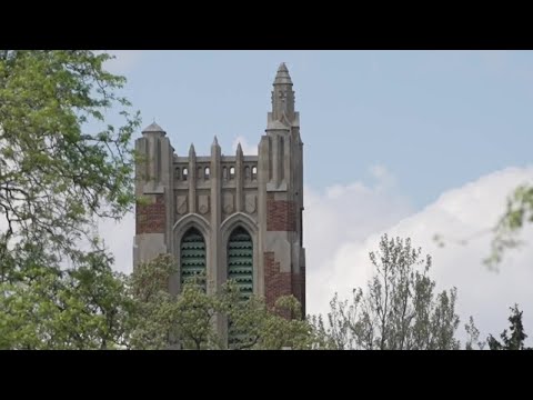 The Hidden Costs Of MSUSIS: Are You Prepared?