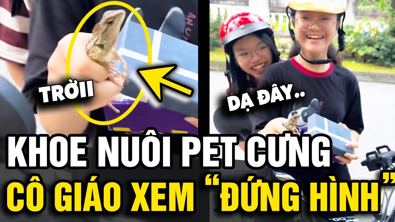 Khoe có nuôi mấy em 'PET CƯNG' siêu dễ thương, nữ sinh khiến cô giáo ĐỨNG HÌNH | Tin Nhanh Official