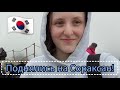 Умерла и воскресла несколько раз😮💨 / Влог из Кореи: горы Сораксан, город Сокчо / Жители леса🐿🐇