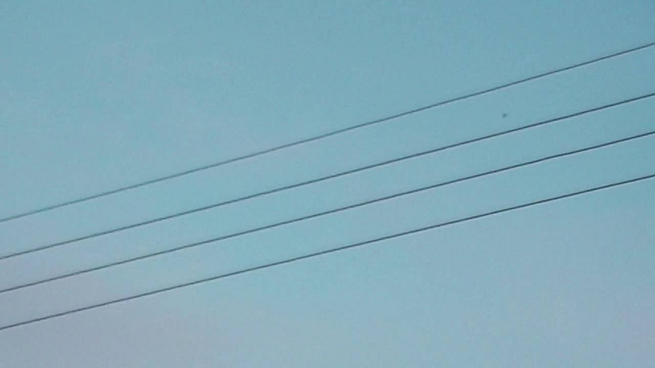 Bats fyling around during the evening EL Paso Texas YouTube