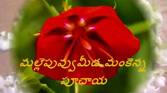 SRI SURYANARAYANA MELUKO BY LAKSHMI POLAMRAJU SRI SURYANARAYANA MELUKO BY LAKSHMI POLAMRAJU