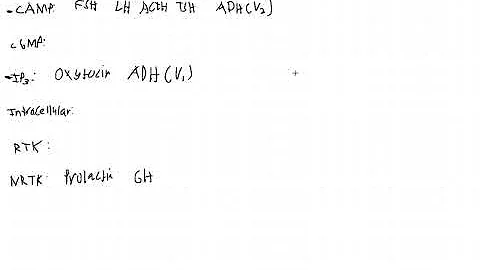 Signaling Pathways of Endocrine Hormones First Aid USMLE Step 1