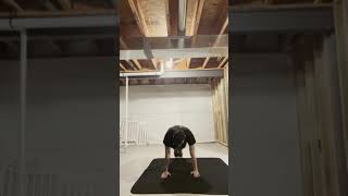 BLC Shoulder stability drill