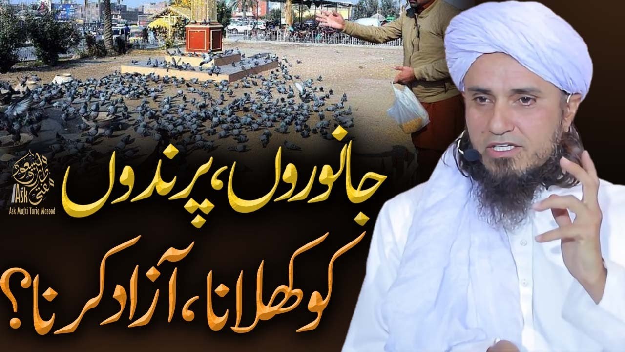 Janwaaron Aor Parindon Ko Khilana Aazad Karna | Ask Mufti Tariq Masood