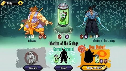 Inheritor of The 5 Rings Silver Cross Breed