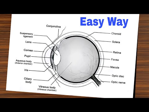 Eye Diagram Easy