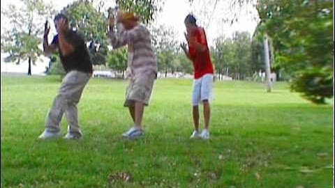 Dancin Cats Lounge.mp4