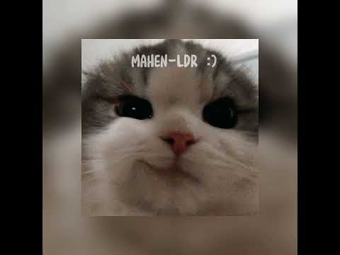 LDR (mahen) +