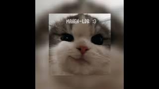 LDR (mahen)   sped up ♡
