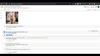 Image Prediction Using Keras Pre-trained Models Like VGG16, Resnet, Mobilenet | Transfer Learning