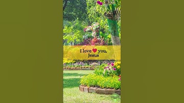 I Love Jesus | The Father’s Love, The Son’s Sacrifice