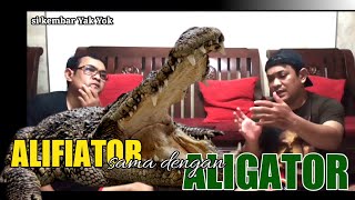 Alifiator PENIPU || si kembar Yak Yok screenshot 5
