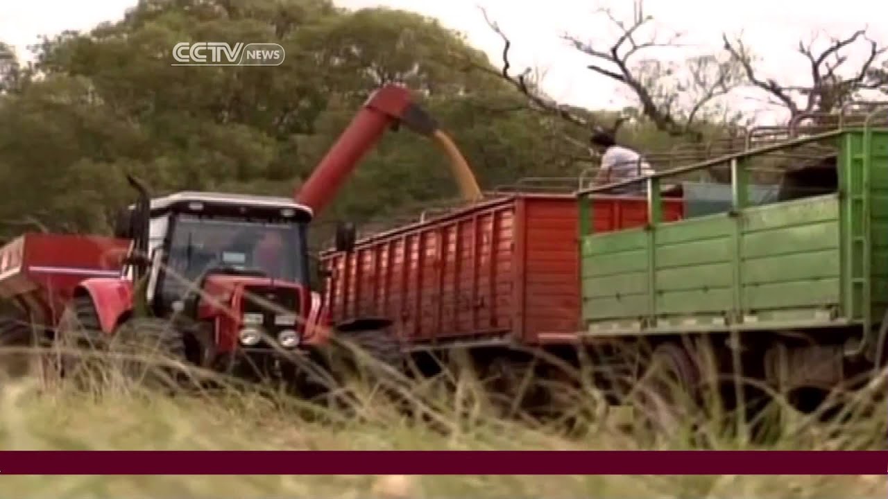 Farmers Strike against Government Policies in Argentina