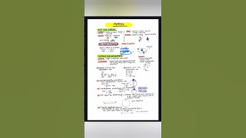 Class 9 Physics Motion | Handwritten Notes ✍️ | Easy Short Notes #shorts”