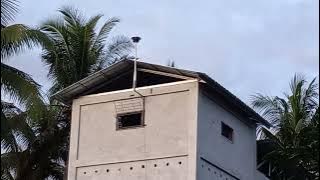 sp pribadi revisi by juss arfah tidak diragukan lagi