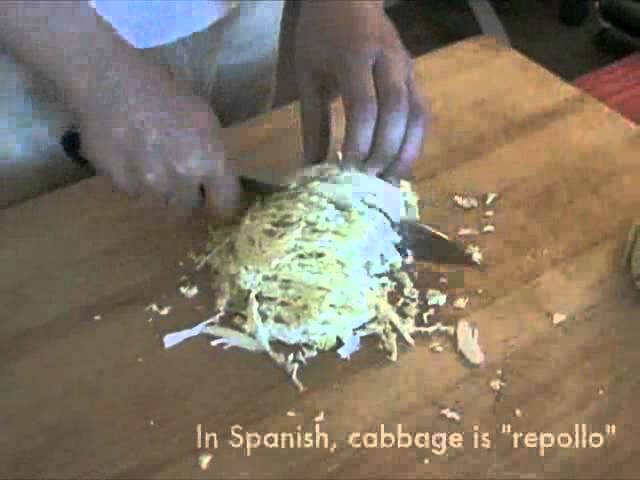 How to Shred Cabbage: A Beginner's Guide – My Kitchen Gadgets
