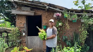 ELE VIVE ISOLADO DA AGITAÇÃO DA CIDADE MORANDO NA SIMPLICIDADE