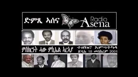 Voice of Assenna: Testimony of Mr Michael Araya Re...