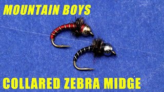 How to tie a Collared Zebra Midge
