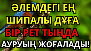 картинка: Бір рет тыңда – мәңгілік саулық!  Алланың қалауымен толық шипа аласың