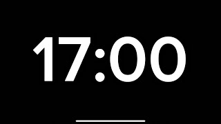 17 Minute Timer.