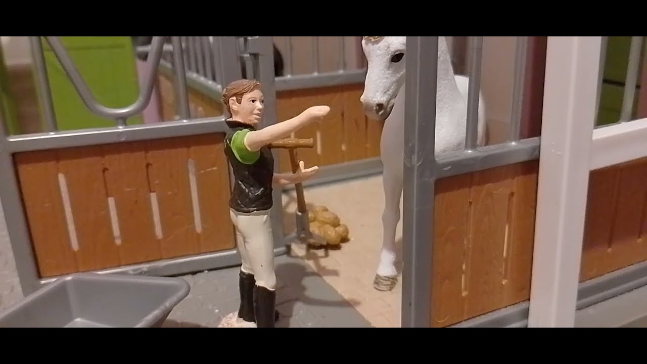 Ma vie a l'écurie 🐴🐴