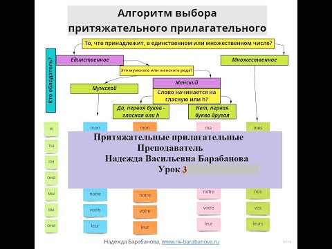 Притяжательные прилагательные во французском языке