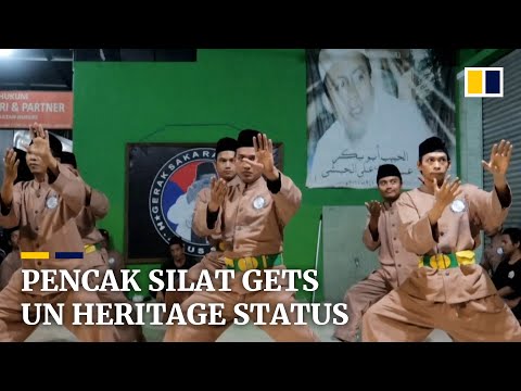 Indonesian martial art pencak silat lands a punch on the UN’s prestigious heritage list