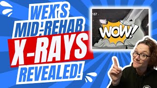 Wex's Mid-Rehab X-rays REVEALED! 😳 (Long Toe Rehab)💪