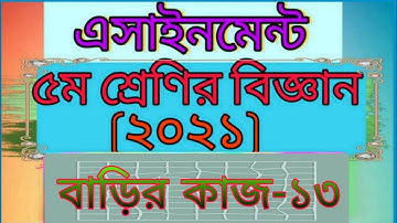 Class five science assignment -13। Home work -13। ৫ম শ্রেণির বিজ্ঞান এসাইনমেন্ট -১৩। বাড়ির কাজ -১৩