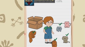 Brain Test All Star IQ Boost Level 26. Walkthrough Gameplay