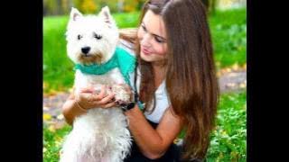 Asu Tenanan - E. Soekamti