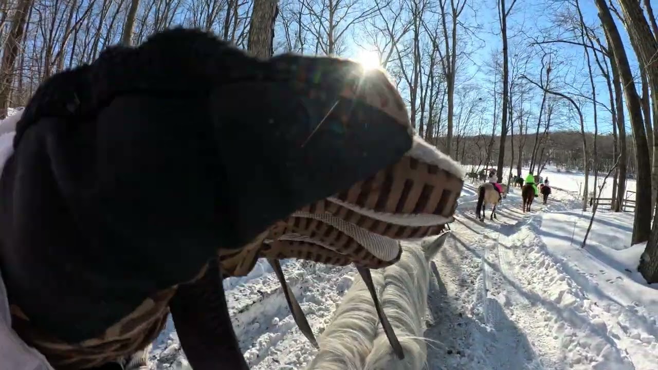 Rocking Horse Ranch, Highland, NY 01.31.2026 Horse-riding with family #2