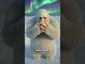 Cómo evolucionarías si vivieras en la Era glacial?