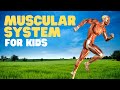 Muscle Power: Unleashing the Strength Behind Movement and Health