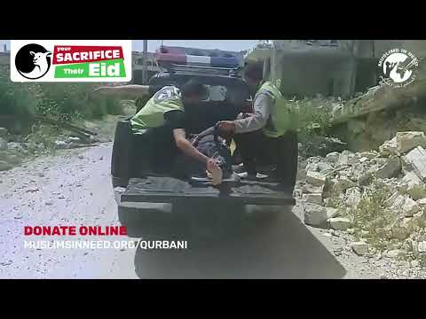 Qurbani 2026 trailer thumbnail