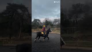 Rode The Beautiful Miss Romany For The First Time