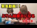 【緊急動画】ぶりん結膜炎になる【閲覧注意】