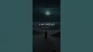 اكتب شيء تؤجر عليه 💚🎧 قران كريم | راحة نفسية