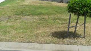 REAL ESTATE MACKAY - SOLD - 45 Village Circuit, Eimeo - Mackay City Property