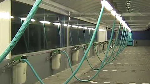 Forgotten Frames: MiniDV Rushes from the Past  #carwash #video #past