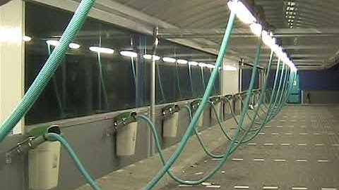 Forgotten Frames: MiniDV Rushes from the Past  #carwash #video #past