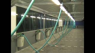 Forgotten Frames: MiniDV Rushes from the Past  #carwash #video #past #minidv screenshot 4