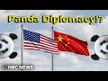 What’s Going On…With Panda Diplomacy!?
