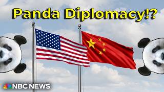 What’s Going On…With Panda Diplomacy!