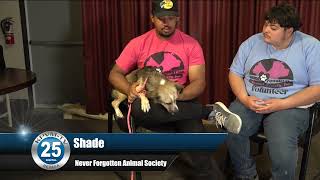 05/13/2026 Pet Adoption