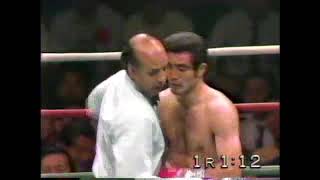 世界J・ウェルター級タイトルマッチ浜田剛史 vs レネ・アルレトンド パンフ 世界J・ウェルター級タイトルマッチ浜田剛史 vs レネ