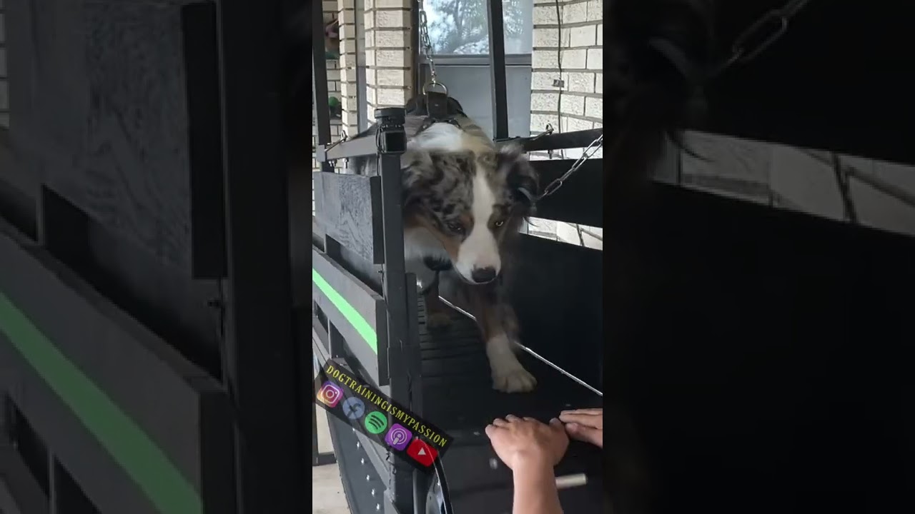 Buddy learning the mill.